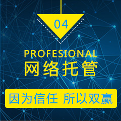 網絡托管